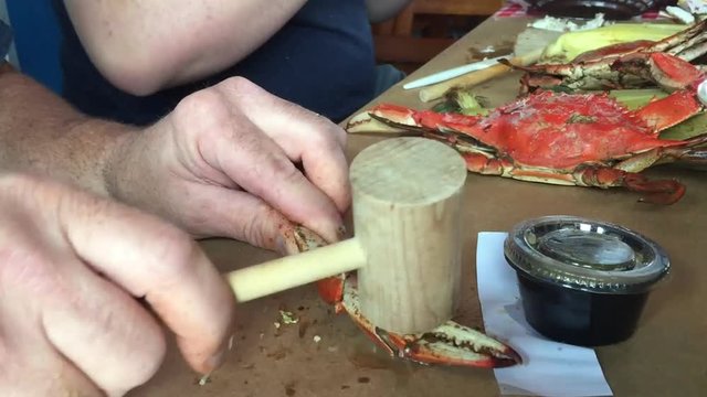 Man using hammer to crack open crab legs