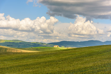 Obraz premium View of the countryside of Val'dOrcia Natural Area in Tuscany during spring season