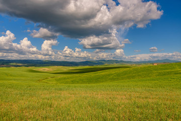 View of the countryside of Val'dOrcia Natural Area in Tuscany during spring season