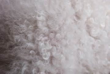 Close-up of curly white hair