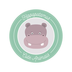 white background with color frame decorative and face hippopotamus cute animals text vector illustration
