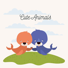 white background with color scene couple cute seals aquatic animals in grass vector illustration
