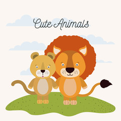 white background with color scene couple cute lion and lioness animals in grass vector illustration