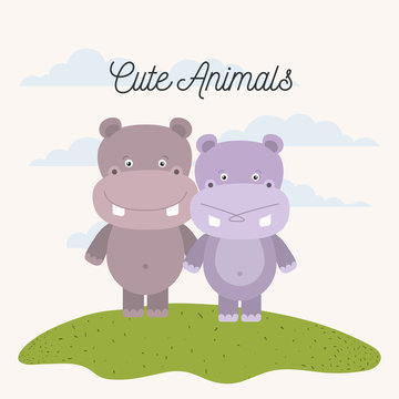 white background with color scene couple cute hippopotamus animals in grass vector illustration