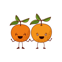 white background with pair of orange fruits caricature vector illustration
