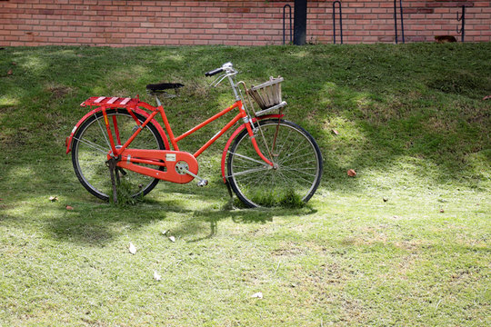Vintage red bicycle  in green field with sunlight and red bricks wall in back ground.