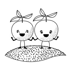 white background of monochrome pair of orange fruits caricature over grass vector illustration