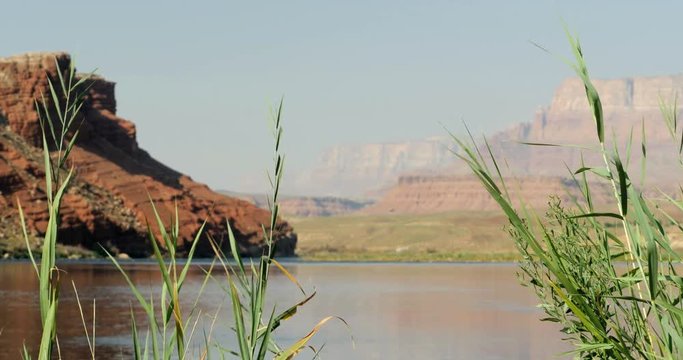 Grass sways in the wind by the Colorado River with red rock formations in Grand Canyon National Park near Lee's Ferry Arizona 4K