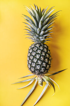 Single pineapple with yellow background