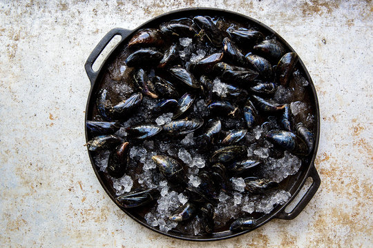 fresh mussels on ice