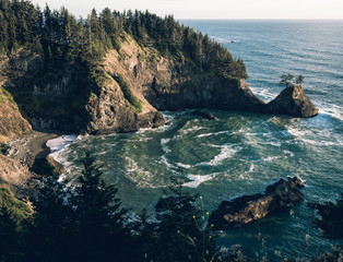 Pacific North West Cove © Daniel