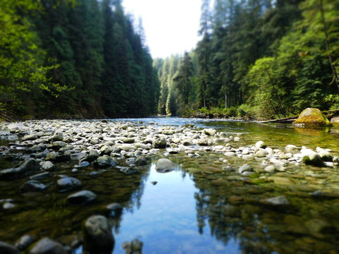 Capilano River Regional Park