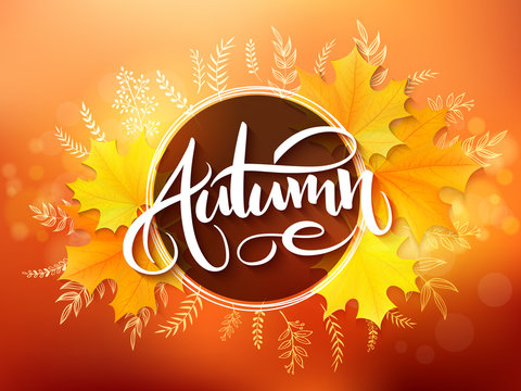 Vector banner with hand lettering label - autumn - yellow autumn maple leaves and flares