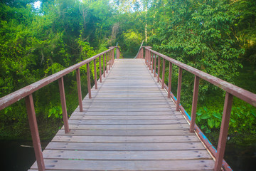 Wood bridge