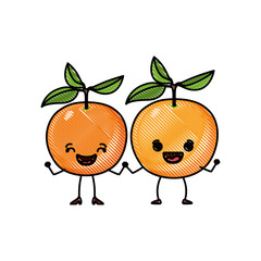 white background of colored crayon silhouette of realistic pair of orange fruits caricature vector illustration