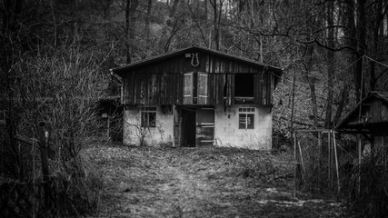 Fototapeta na wymiar Old house in the woods