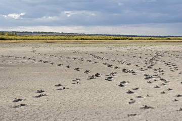 A lifeless land Craquelure