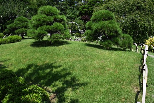 旧吉田茂邸 日本庭園