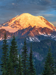 Fototapeta na wymiar Mount Rainier at sunrise in Mount Rainier National Park, Washington, USA