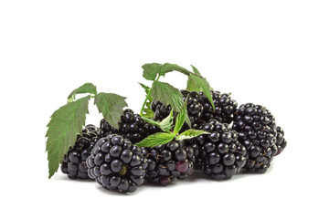 A bunch of dark ripe juicy blackberry berries