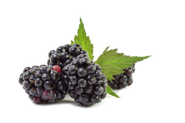 Mature dark juicy blackberry berries