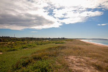 Australian Beach with grassy sand dune on the Pacific Ocean