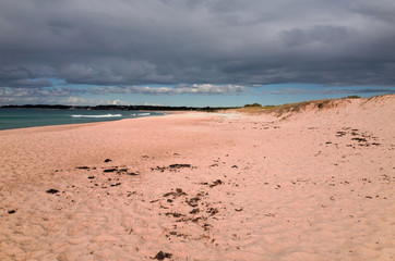 Beautiful Australian Beach Grassy Dune on the Pacific Ocean