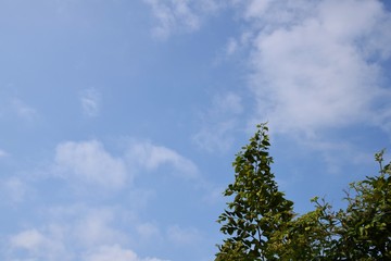 背景素材・夏空