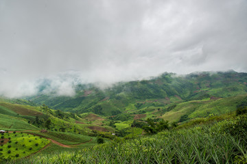 Obraz premium Mountain