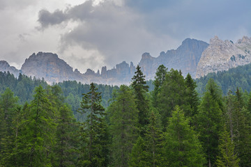 Italy South Tyrol Dolomites Latemar mountain