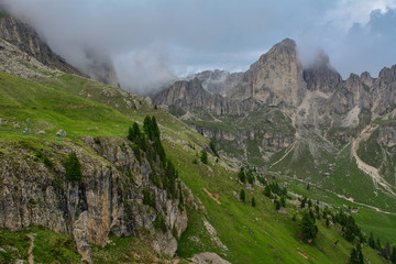 Italy South Tyrol Dolomites Rosengarten mountain range meadow