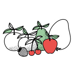 white background with silhouette color sections of tropical fruits vector illustration