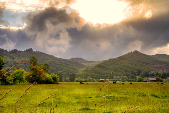 Beautiful Green Landscape In Southern Oregon, Coquille River Valley