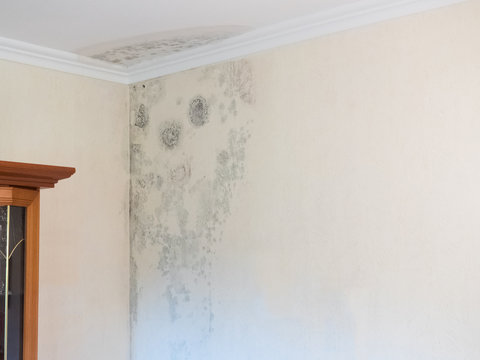 Wasserschaden - Wasserflecken - feuchte Wohnung