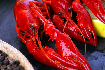 tasty boiled crawfish closeup on stone table, seafood dinner, nobody