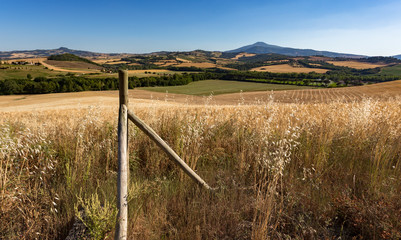 Tuscan fields