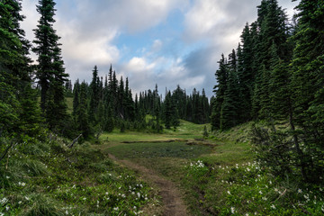 Tolmie Peak Trail