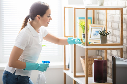 Young Woman Cleaning The Shelf In House