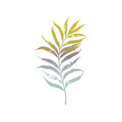 Hand drawn palm tree