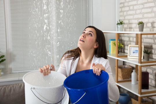 Woman Collecting Leaking Water In Bucket