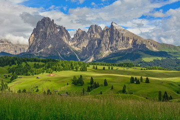 Fototapeta na wymiar Italy south tyrol dolomites mountains Langkofel Plattkofel