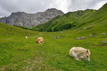 Italy south tyrol dolomites mountains sleeping horses