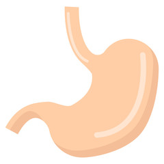 Human stomach organ icon, vector illustration flat style design isolated on white. Colorful graphics