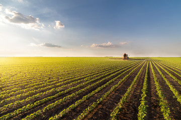 Tractor spraying pesticides on soybean field - obrazy, fototapety, plakaty