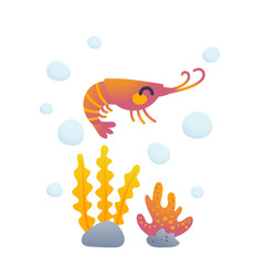 Adorable shrimp character