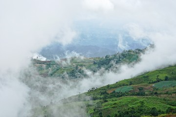 Fototapeta na wymiar Morning mountain landscape with curved road, waves of fog and cloudy sky. Cultivated land at Phu Tub Berg, Phetchabun province, Thailand