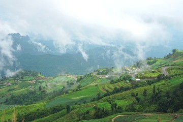 Obraz premium Morning mountain landscape with waves of fog and cloudy sky. Waves of clouds in the mountain peaks covered with cabbage fields, Cultivated land at Phu Tub Berg, Phetchabun province, Thailand