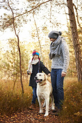 Pleasant company in seasonal woods