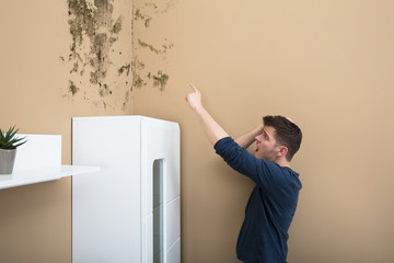 Shocked Man Looking At Mold On Wall