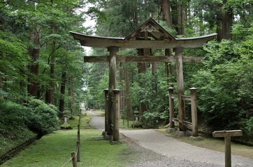 苔がきれいな神社の境内